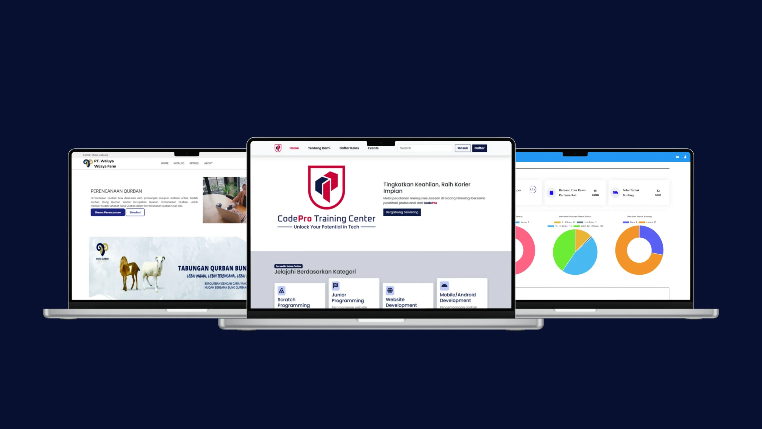 Jasa Pembuatan Website
