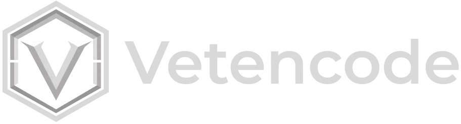 digital marketing agency vetencode