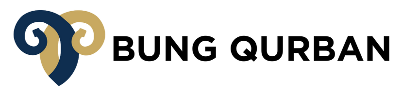 Klien Vetencode 4